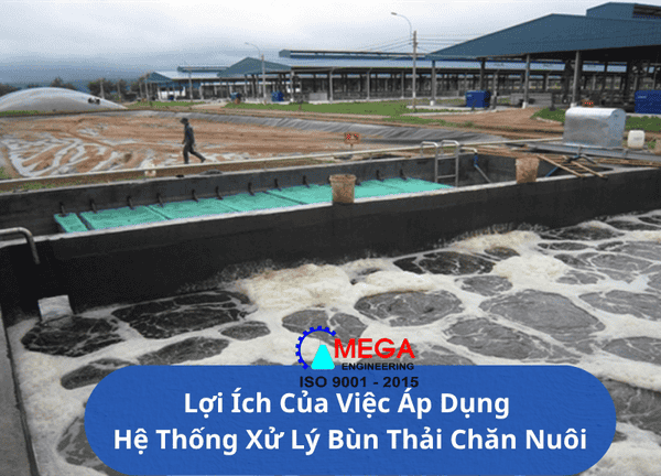 Xử Lý Bùn Thải Chăn Nuôi Trong Nông Nghiệp