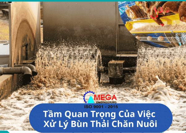 Xử Lý Bùn Thải Chăn Nuôi Trong Nông Nghiệp